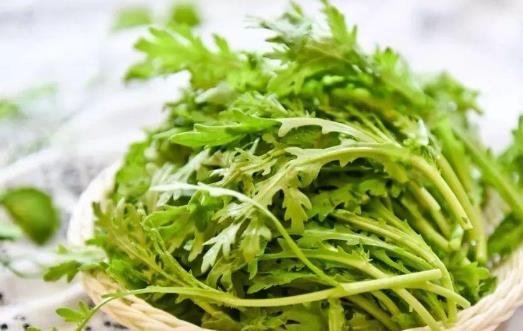 茼蒿有哪些營養(yǎng)價(jià)值?茼蒿有哪些功效?