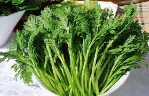 茼蒿有哪些營養(yǎng)價(jià)值?茼蒿有哪些功效?