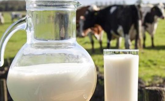 牛初乳可以作為嬰幼兒的主食嗎?牛初乳對(duì)寶寶有副作用嗎?