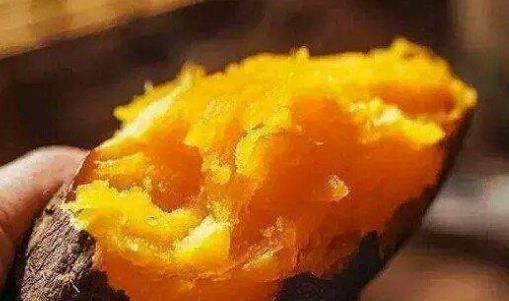 紅薯不能和柿子同吃是真的嗎?紅薯怎么吃最有營養(yǎng)?