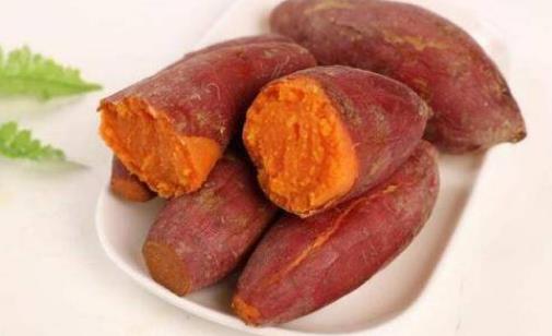 紅薯不能和柿子同吃是真的嗎?紅薯怎么吃最有營養(yǎng)?