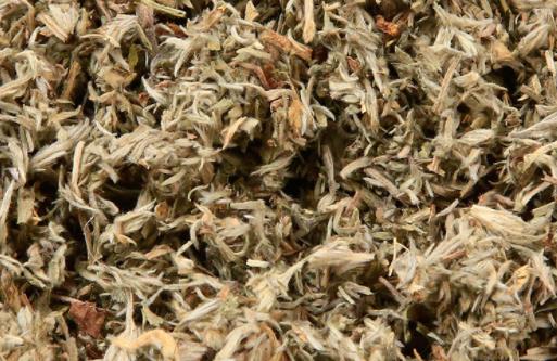 過了清明的白蒿還能吃嗎 現(xiàn)在的白蒿還能吃嗎