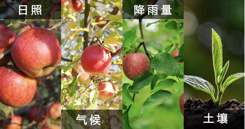 自然酷——天然新鮮,健康未來