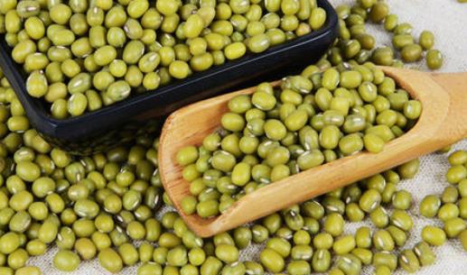 怎么選購(gòu)綠豆?吃綠豆有哪些好處?