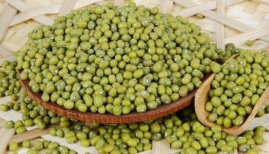 怎么選購(gòu)綠豆?吃綠豆有哪些好處?