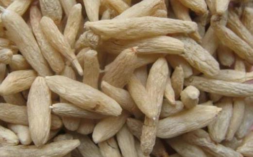 吃麥冬會上火嗎?麥冬泡水怎么泡?