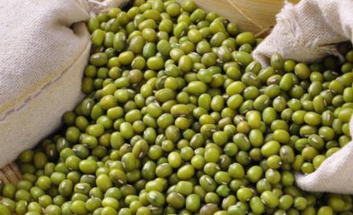 怎么選購(gòu)綠豆?吃綠豆有哪些好處?