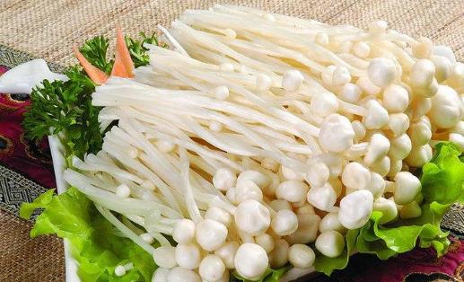 腎衰竭可以吃金針菇嗎?金針菇有哪些營養(yǎng)價值?