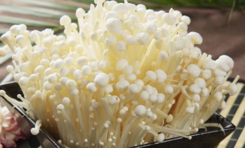 腎衰竭可以吃金針菇嗎?金針菇有哪些營養(yǎng)價值?