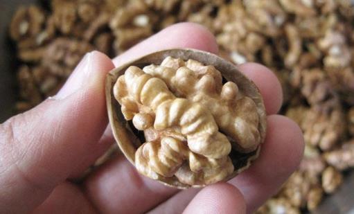 吃核桃有哪些藥用價(jià)值?核桃有哪些功效?