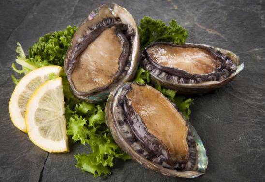 吃鮑魚是吃頭還是足?為什么鮑魚會(huì)變硬?