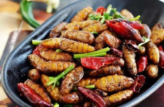 吃蠶蛹怎么預(yù)防中毒?蠶蛹中毒有什么癥狀表現(xiàn)?
