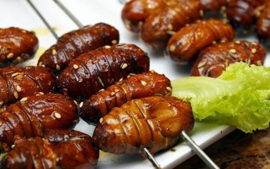 吃蠶蛹怎么預(yù)防中毒?蠶蛹中毒有什么癥狀表現(xiàn)?
