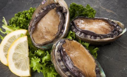 糖尿病患者可以吃鮑魚(yú)嗎?鮑魚(yú)有哪些功效?