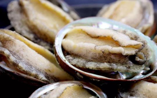 糖尿病患者可以吃鮑魚(yú)嗎?鮑魚(yú)有哪些功效?