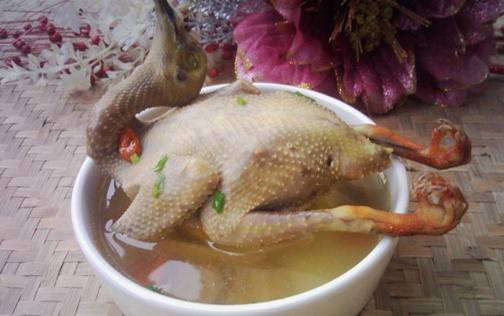 鴿子湯小孩多久喝一次 鴿子湯小孩吃怎么燉最營養(yǎng)