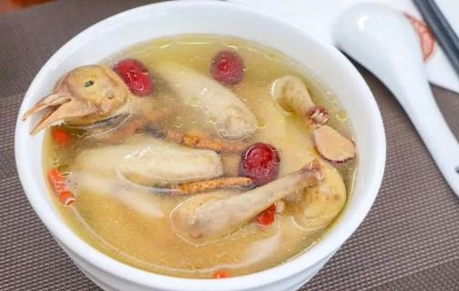 鴿子湯小孩子可以喝嗎 鴿子湯小孩喝了會(huì)早熟嗎