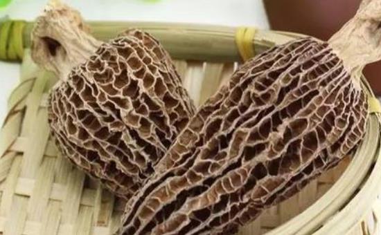 哪些人不宜吃羊肚菌?羊肚菌吃多了會(huì)怎么樣?