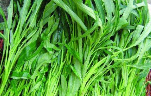 吃空心菜會(huì)影響鈣的吸收嗎?空心菜炒出來(lái)為什么會(huì)發(fā)黑?