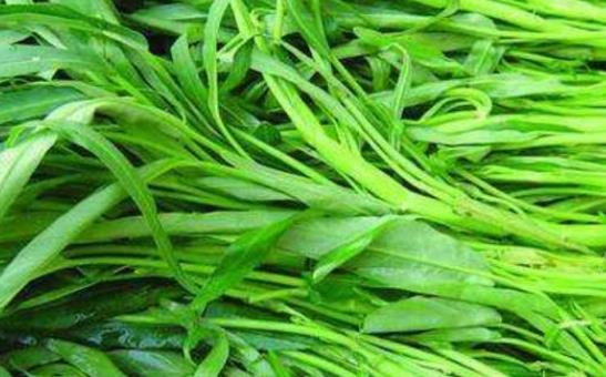 吃空心菜會(huì)影響鈣的吸收嗎?空心菜炒出來(lái)為什么會(huì)發(fā)黑?
