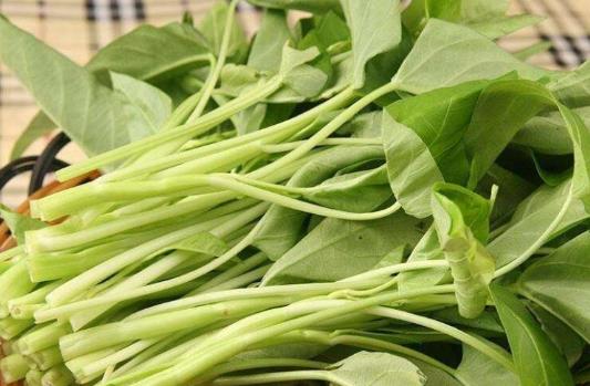 吃空心菜會(huì)影響鈣的吸收嗎?空心菜炒出來(lái)為什么會(huì)發(fā)黑?