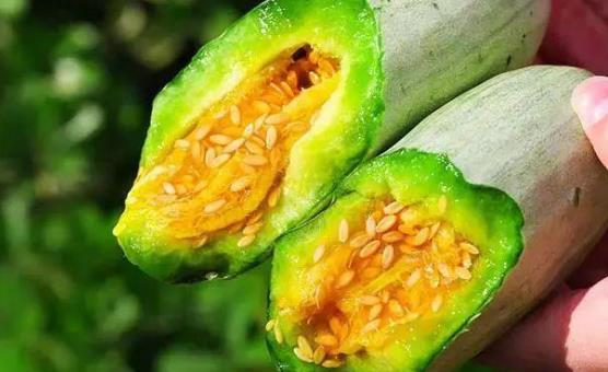 孕婦可以吃羊角蜜嗎?羊角蜜有哪些功效?