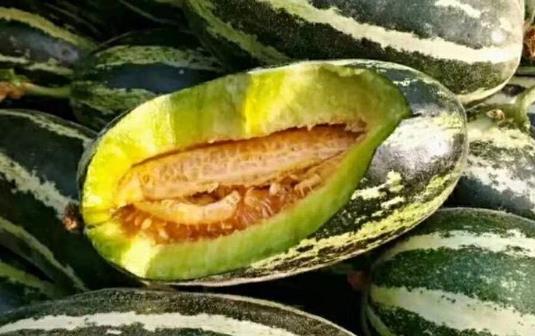 羊角蜜為什么會發(fā)苦?羊角蜜的籽能吃嗎?