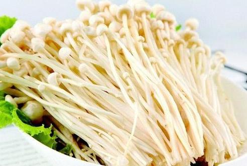 金針菇洗過后放時(shí)間久了有毒嗎?金針菇不去根吃會不會中毒