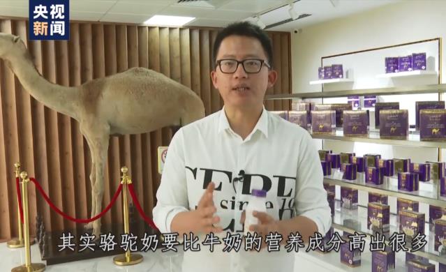 后疫情時(shí)代駝奶受寵,迪拜紫盒Camelicious純駝奶構(gòu)筑強(qiáng)大抵抗力