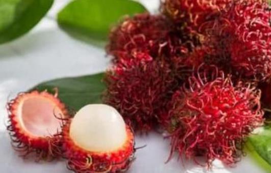 糖尿病患者可以吃紅毛丹嗎?紅毛丹吃多了會(huì)怎么樣?