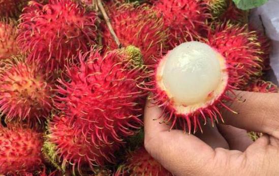 吃紅毛丹會上火嗎?經(jīng)期可以吃紅毛丹嗎?