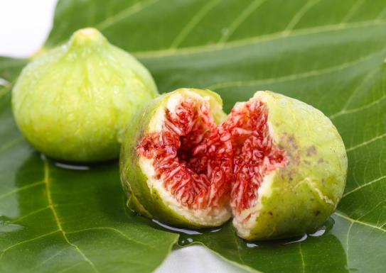 無(wú)花果葉治痔瘡真的有效嗎?孕婦能不能吃無(wú)花果?