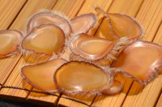 鹿茸壯陽效果快嗎?假鹿茸是什么做的?