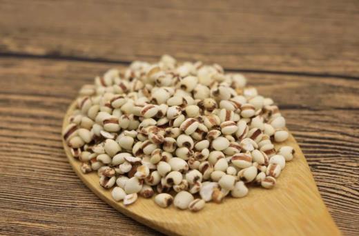薏米吃多了有壞處嗎?薏米祛濕茶喝多久才有效?