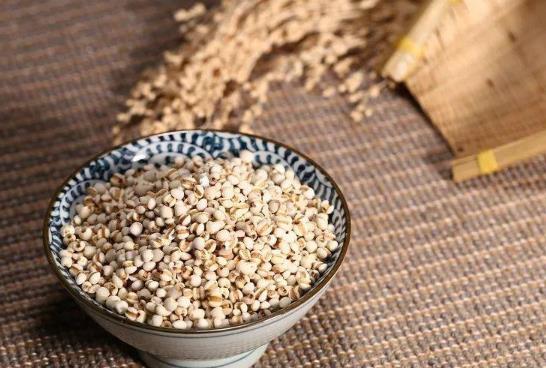 薏米炒和不炒有啥區(qū)別?薏米每次吃多少合適?