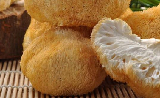 干猴頭菇需要泡發(fā)多久?干猴頭菇泡太久了好嗎?