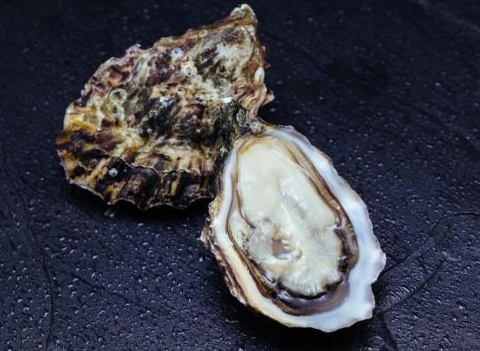 牡蠣與生蠔如何區(qū)別?海蠣子跟生蠔是一個(gè)品種嗎?