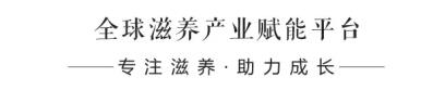 燕窩水晶粽價(jià)格多少?燕窩水晶粽子的做法?大洲新燕燕窩水晶粽子品牌好嗎?