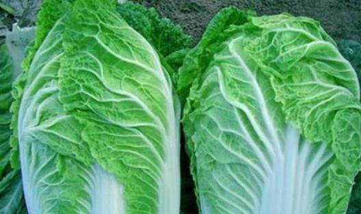 吃白菜有哪些好處?白菜不宜和什么東西一起吃?