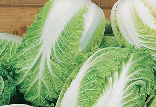 吃白菜有哪些好處?白菜不宜和什么東西一起吃?
