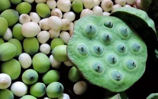 經期可以吃蓮子嗎?蓮子和什么搭配最好?