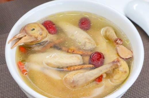 為什么手術(shù)后要吃鴿子湯?鴿子肉有什么功效?