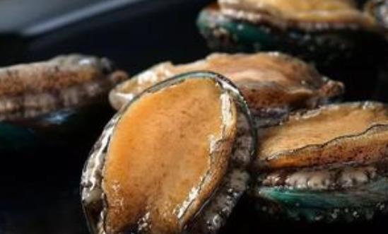吃鮑魚為什么會(huì)上火?什么鮑魚最好?