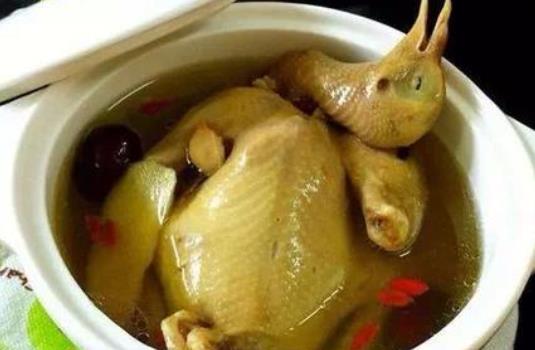 黃體酮低可以吃鴿子肉嗎?吃鴿子肉有哪些好處?