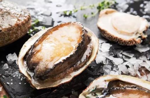 怎么吃鮑魚不上火?鮑魚不宜和什么一起吃?