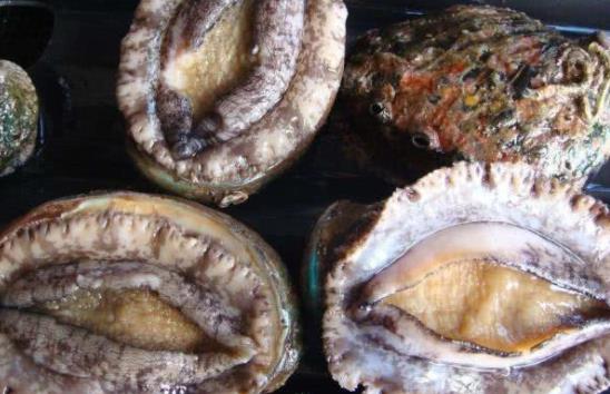吃鮑魚為什么會(huì)上火?什么鮑魚最好?