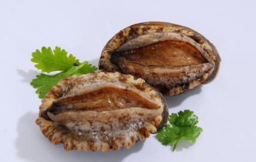 鮑魚(yú)有毒嗎?鮑魚(yú)在冰箱里可以保存多久?