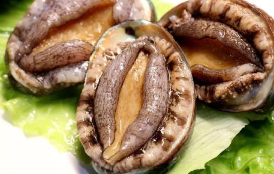 糖尿病患者可以吃鮑魚嗎?鮑魚變硬了還能吃嗎?