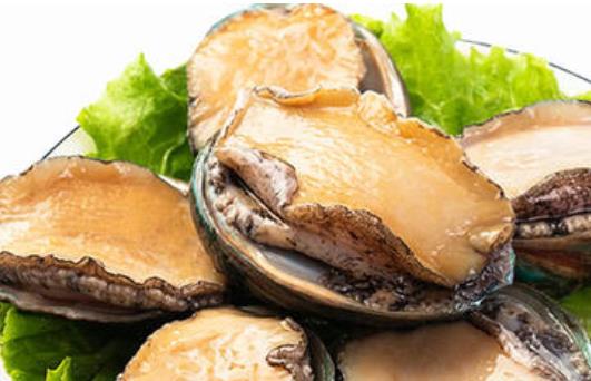 鮑魚(yú)有毒嗎?鮑魚(yú)在冰箱里可以保存多久?
