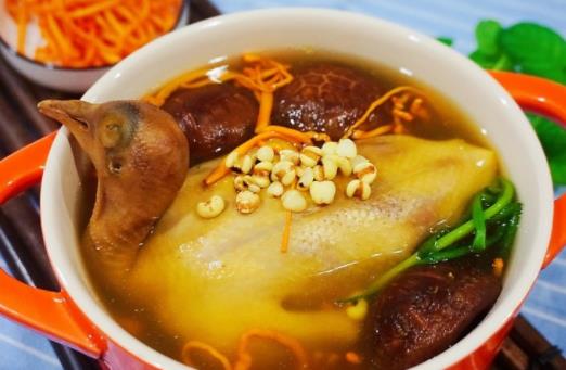 吃鴿子肉會上火嗎?哪些人不宜吃鴿子肉?